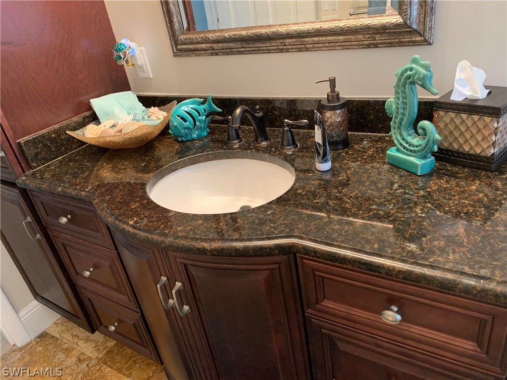 224 Seahorse Court · Marco Island photo 3